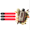 afnan 9pm perfume