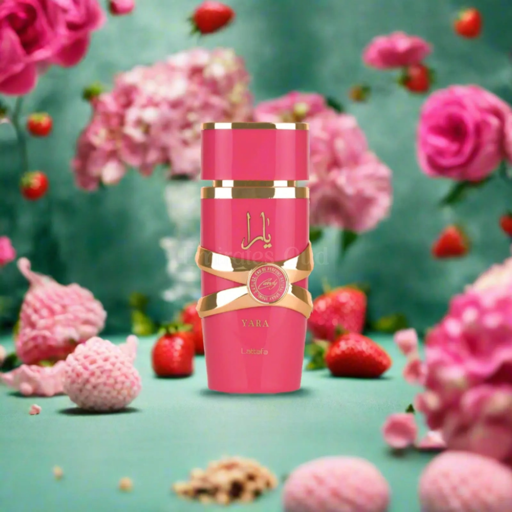 yara lattafa perfume price